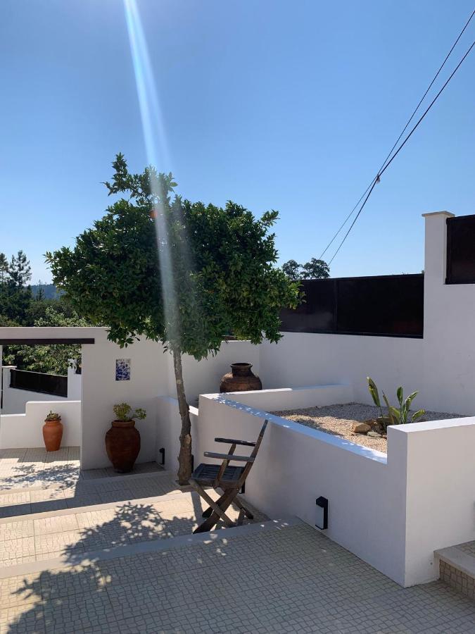 Casa Da Oliveira Bed and Breakfast Pedrogao Grande Εξωτερικό φωτογραφία