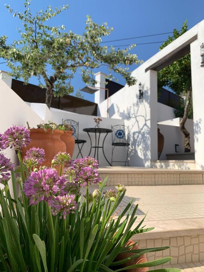 Casa Da Oliveira Bed and Breakfast Pedrogao Grande Εξωτερικό φωτογραφία