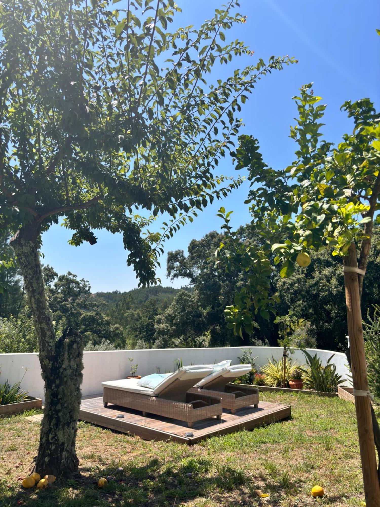 Casa Da Oliveira Bed and Breakfast Pedrogao Grande Εξωτερικό φωτογραφία